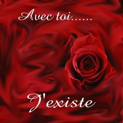 rose Amour